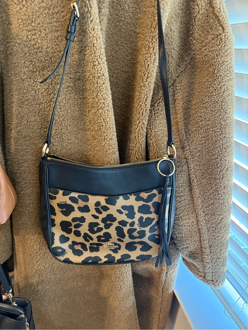 Coach Leopard-Print and Black Leather Crossbody